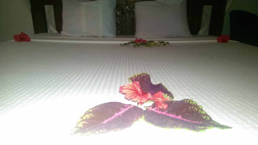 נונגווי Union Beach Bungalow מראה חיצוני תמונה